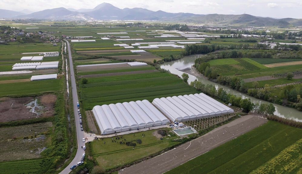 Shqipëria, vendi më bujqësor në rajon, por më i prapambeturi në teknologjitë agrare